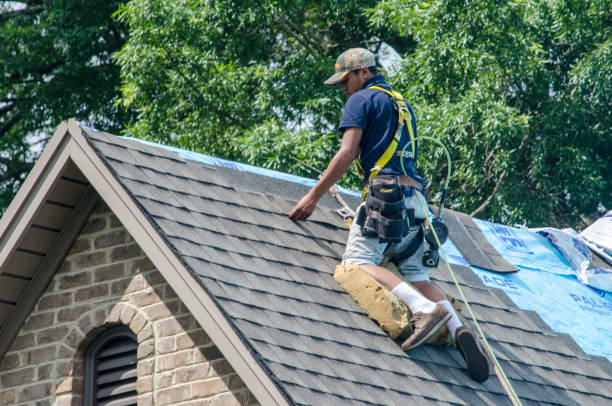 Best Local Roofing Companies  in Iola, KS